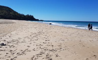 Sunshine Beach property management